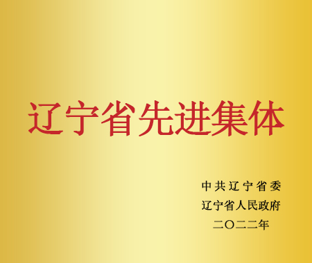辽宁省先进集体