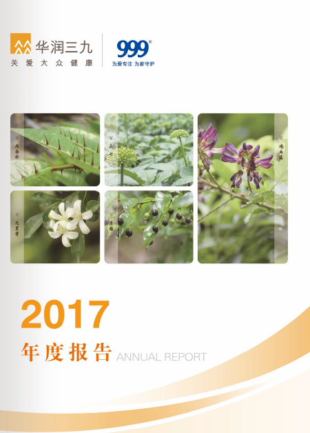 华润sunbet申慱官网：2017年年度报告