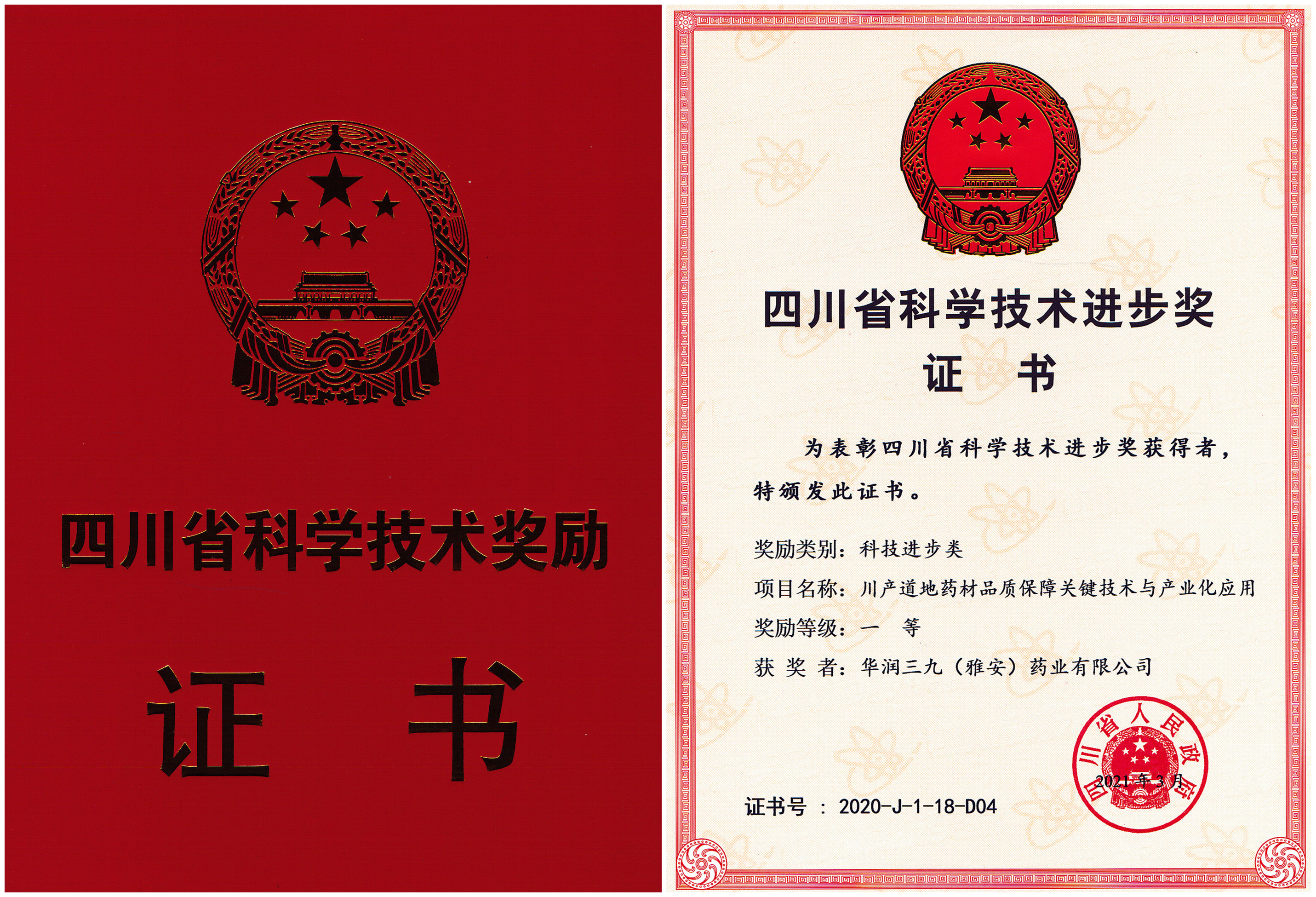 四川省科技进步一等奖-2021年